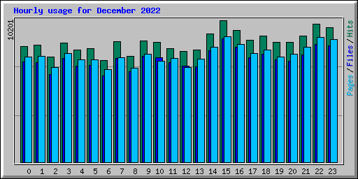 Hourly usage for December 2022