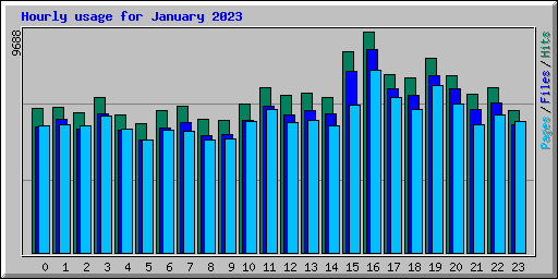 Hourly usage for January 2023